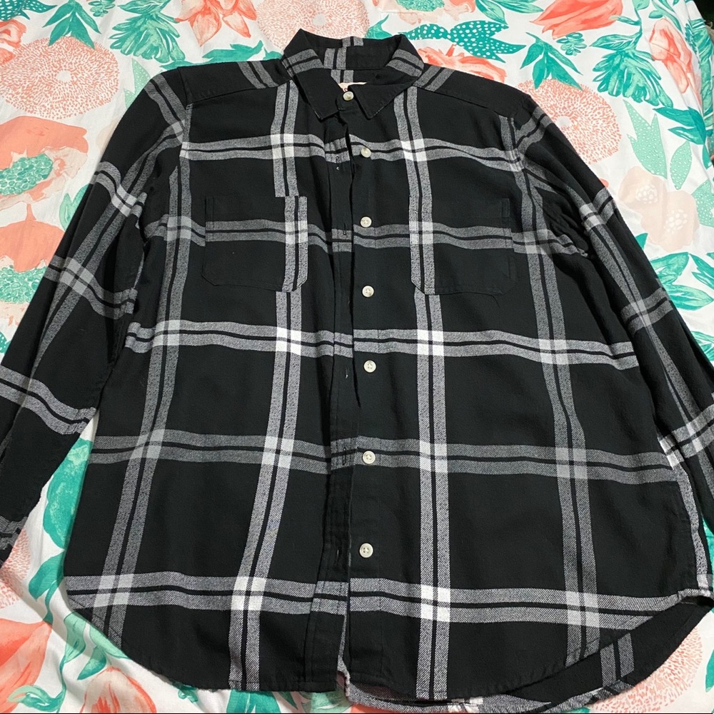 Button Down Shirt